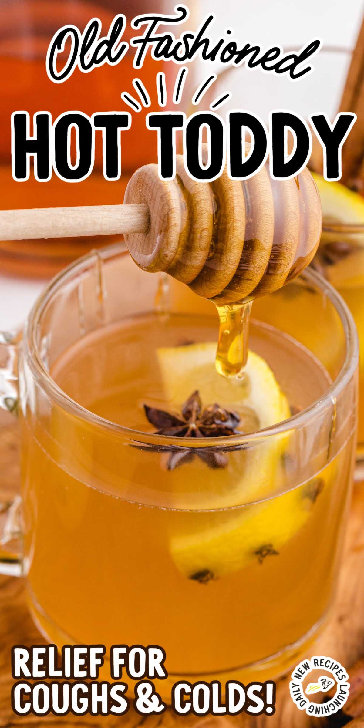 Old Fashioned Hot Toddy Drink Recipe Spaceships and Laser Beams