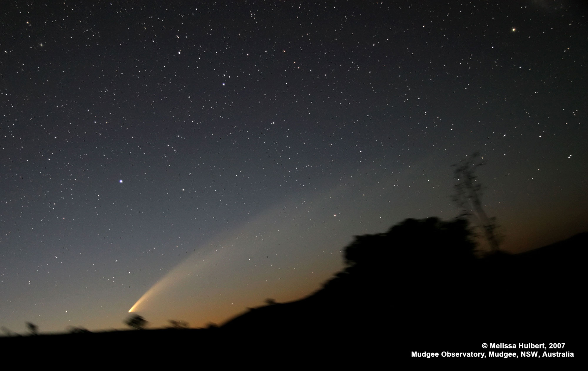 Comet McNaught (C/2006 P1)