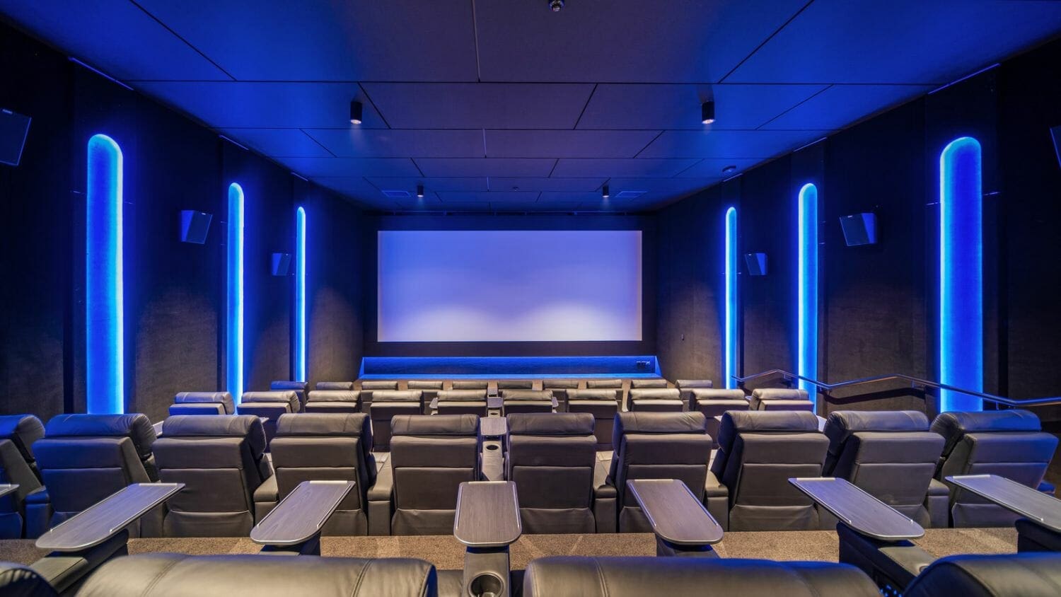 Silky Otter Wigram Spaceworks