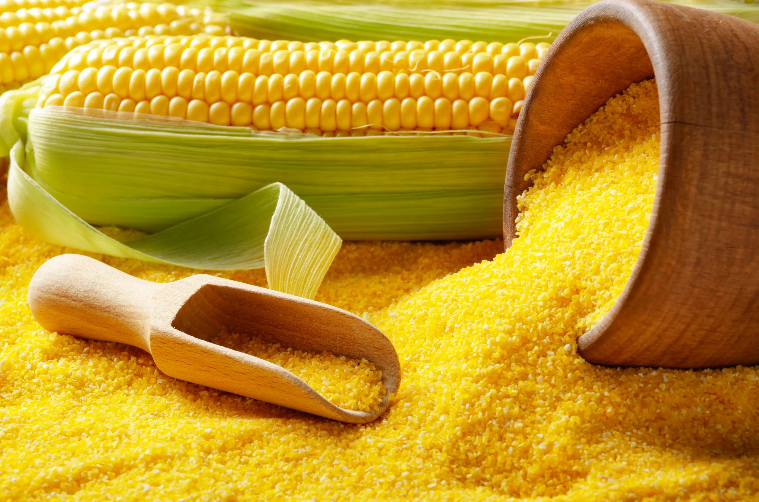 Maize Gluten Manufacturer in India, Maize Gluten exporter, Supplier in