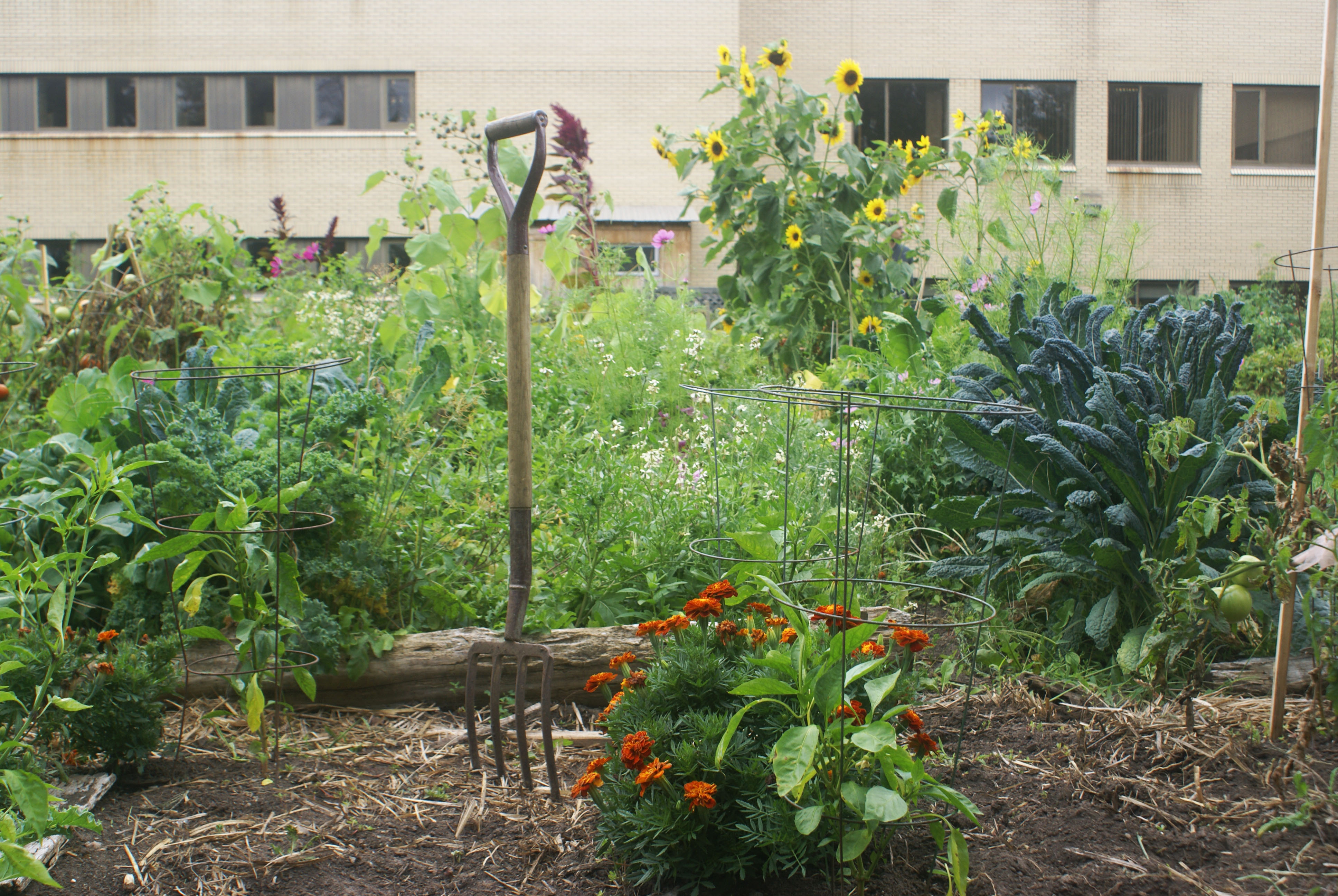 Communities that grow together Ottawa's Community Gardens Spacing Ottawa