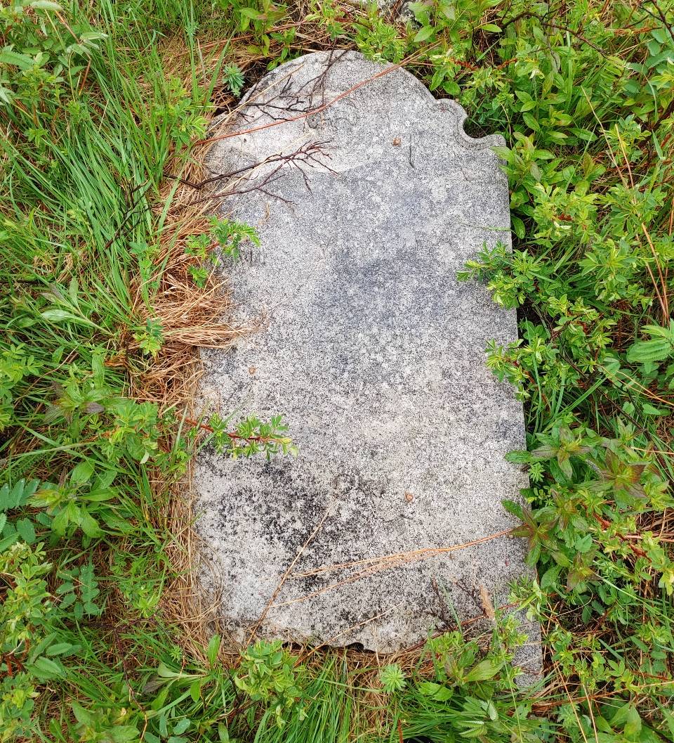Site Visit to Bloody Point, New Perlican, NL Spade & the Grave