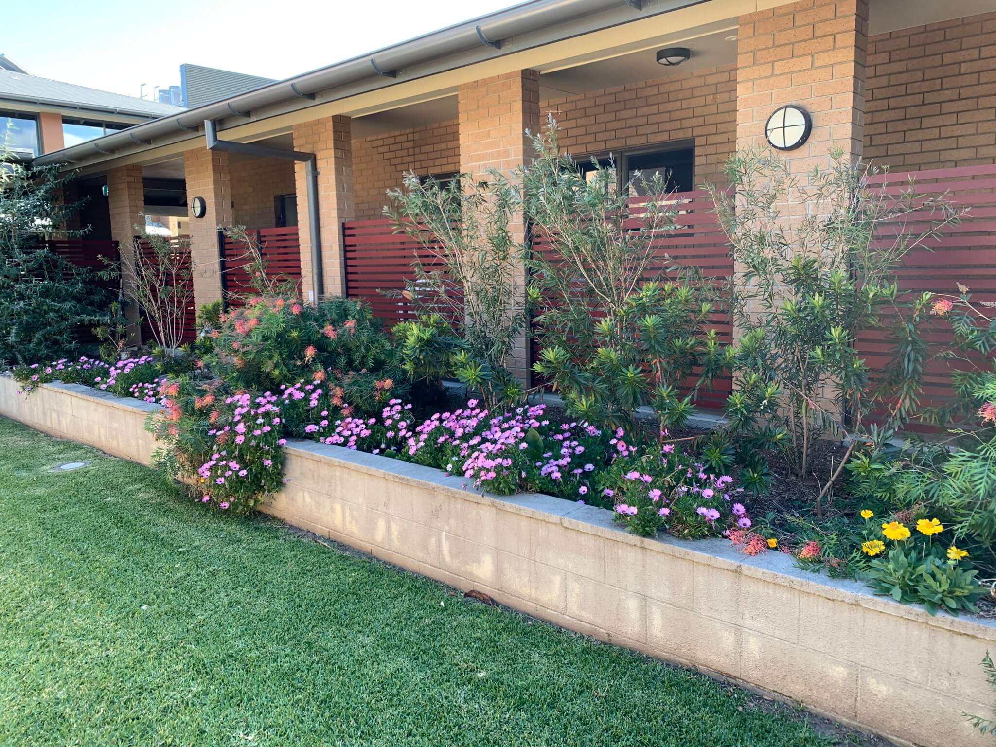 Spade Total Garden and Lawn Care Gardening and Landscaping