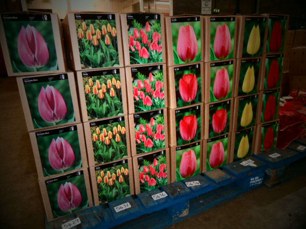 Seasonal Offers Spalding Auction