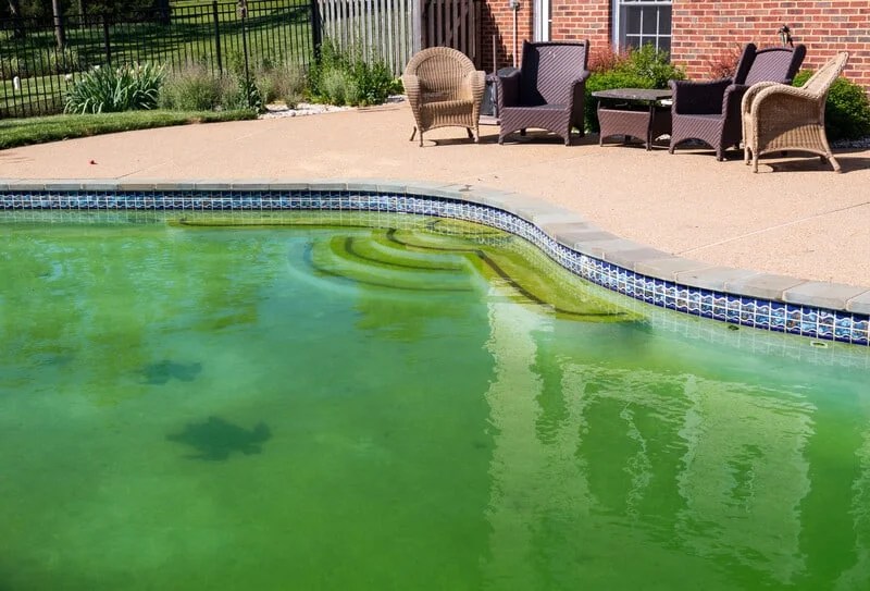 What You Need to Know About High Phosphates in Your Pool or Spa As