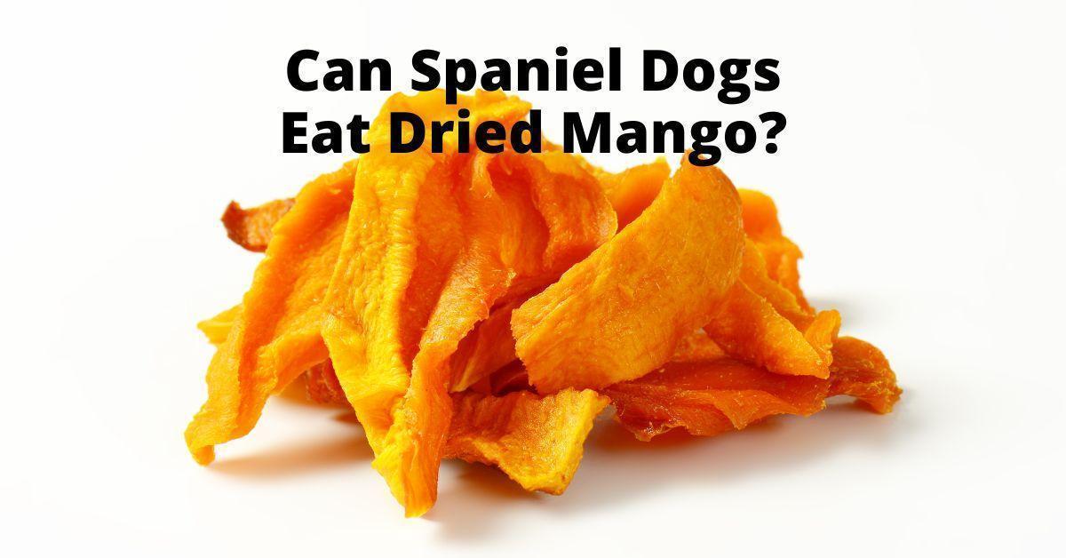 Are Dried Mangoes Good For Dogs