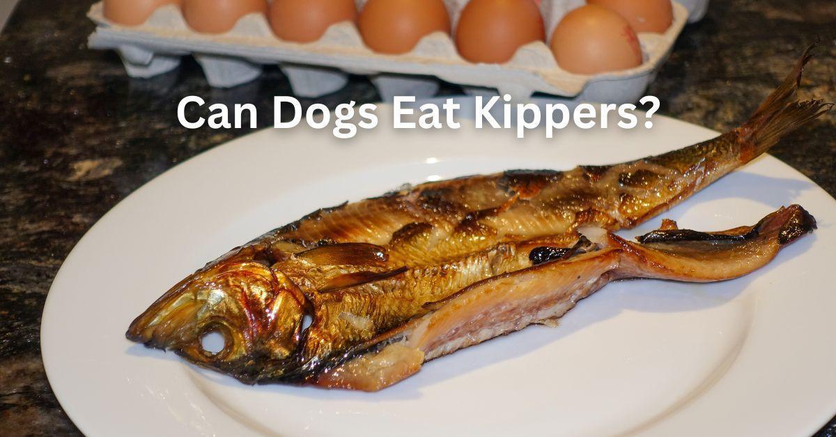 Can Dogs Eat Kippers?
