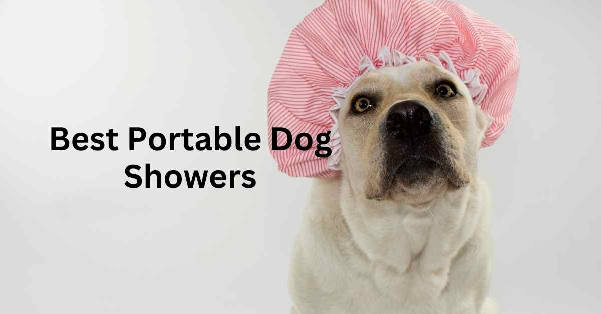 Best Portable Dog Washer