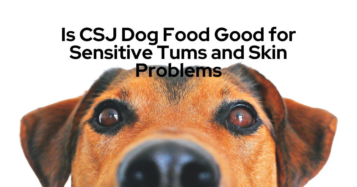 Is CSJ Dog Food Good for Sensitive Tums and Skin Problems?