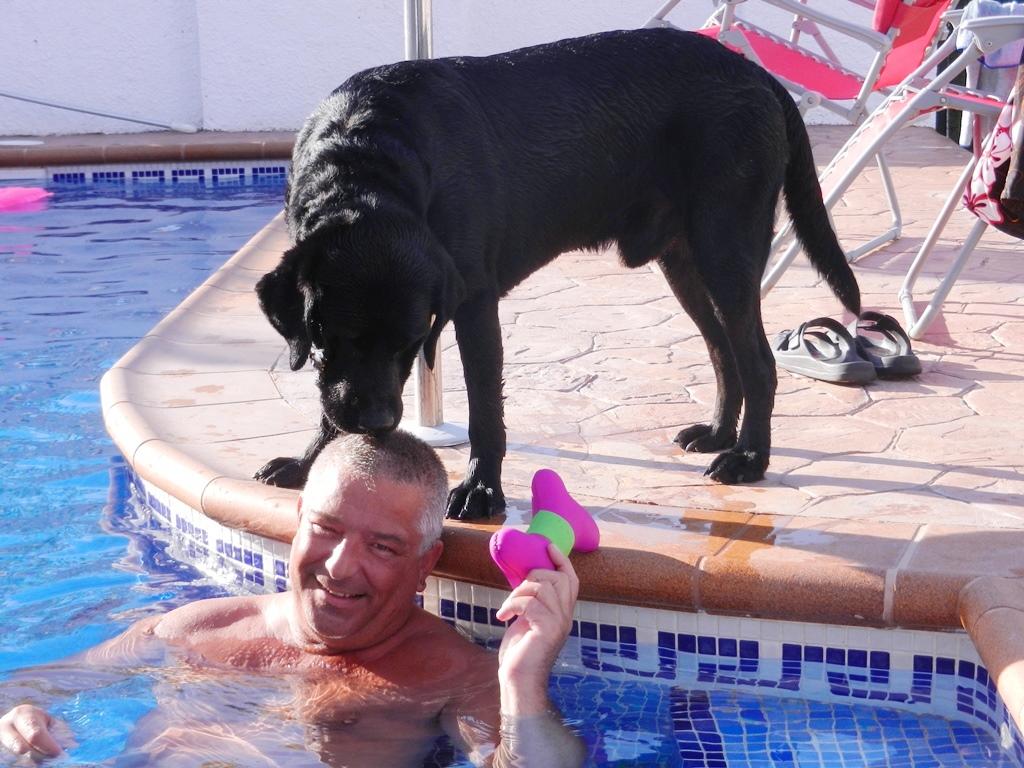 Infos zu Ihrem SpanienUrlaub mit Hund