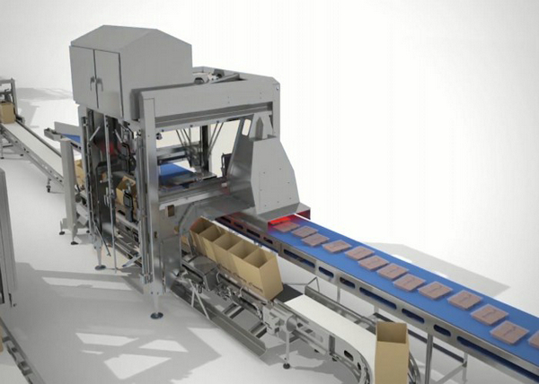 Cadena de producción automática no estándar/proceso y línea de envasado
