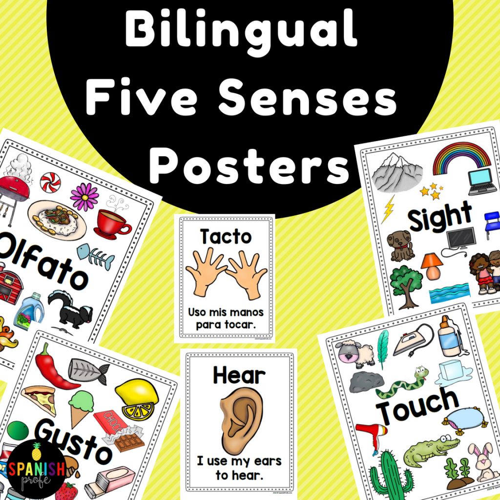Bilingual Five Senses Posters (English & Spanish) Carteles Cinco
