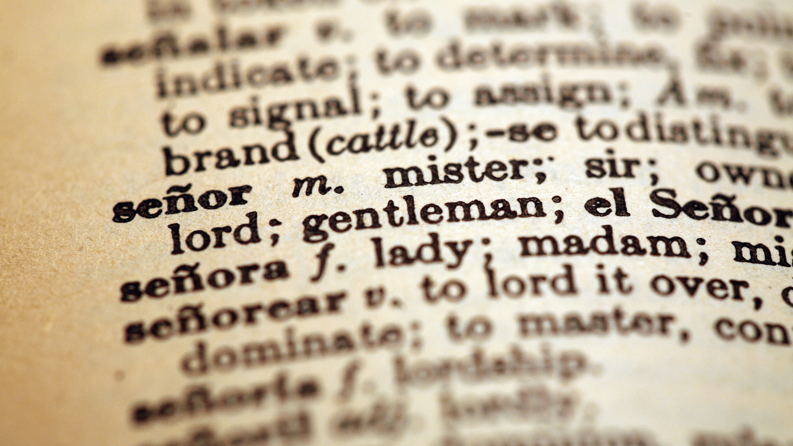 1000 Most Common Spanish Words PDF Scribd
