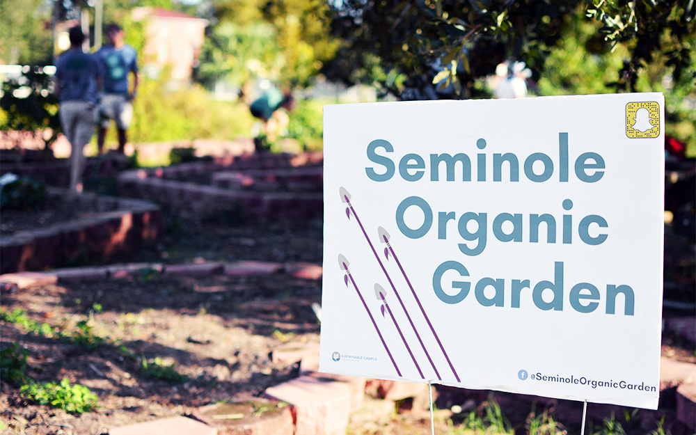 Seminole Organic Garden SPARK FSU