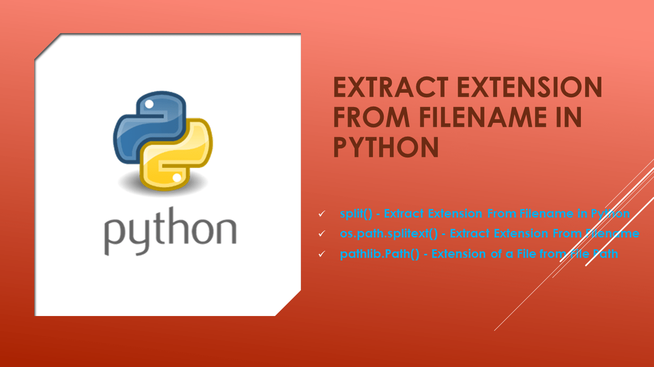 Understanding The Python Path A Comprehensive Guide