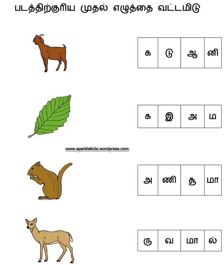 Printable Tamil Alphabets Worksheets / Worksheet For Tamil Writing