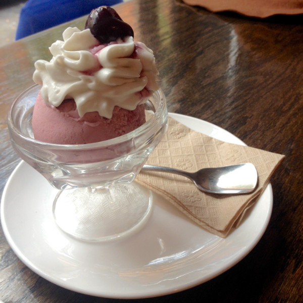 Top 6 DairyFree Ice Cream Shops in NYC Sparkle Kitchen