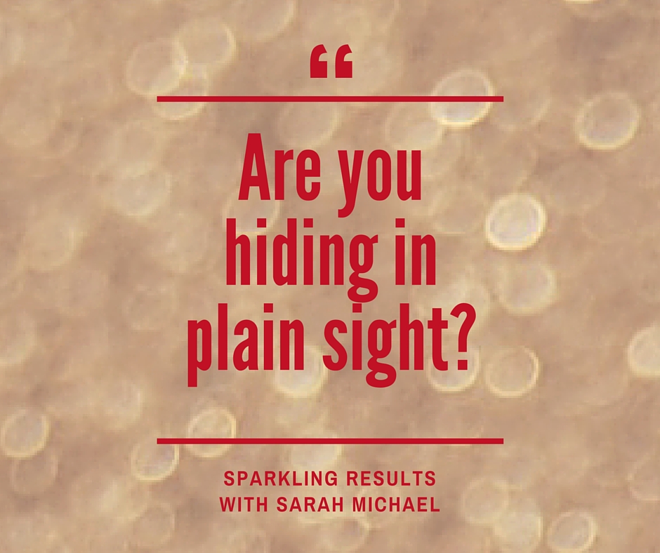 Hiding in Plain Sight(04)