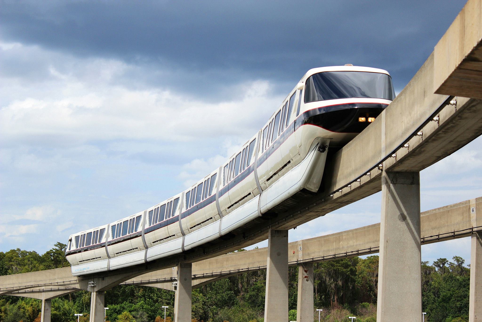 Walt Disney World Monorails Sparkly Ever After