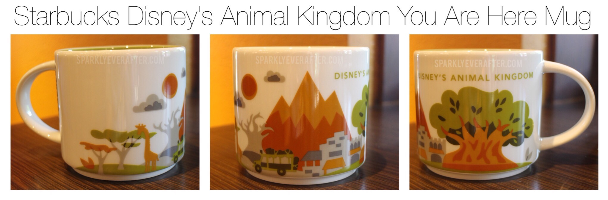 Animal Kingdom Starbucks