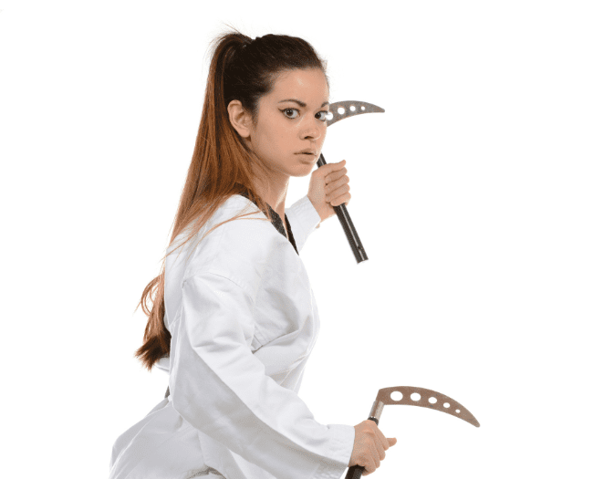 10 Best Martial Arts Weapons Spark Membership The 1 Member