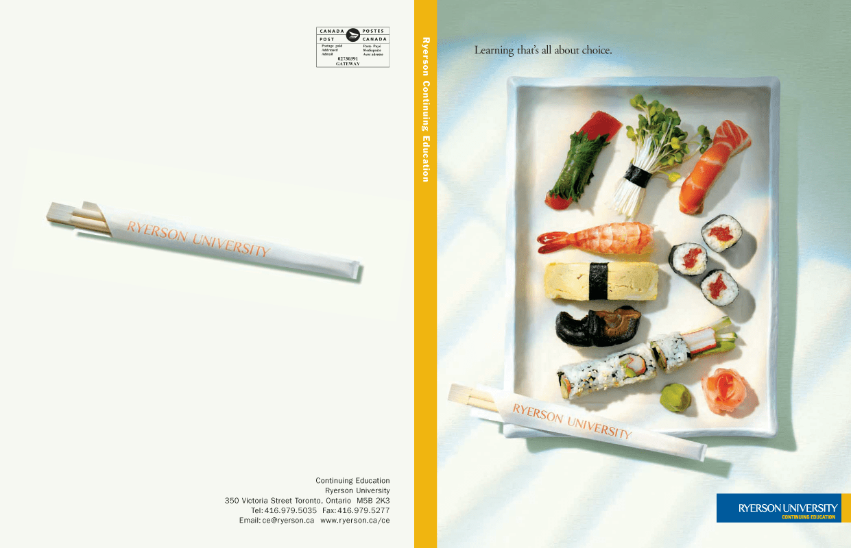 Ryerson Continuing Education Sparkplug