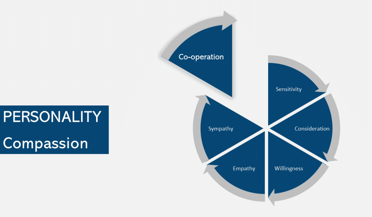 Cooperation Spark Principles For Success