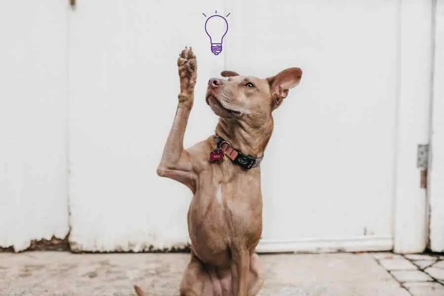 How to Increase Rent Without Losing Tenants (PLUS Free Raise the Rent