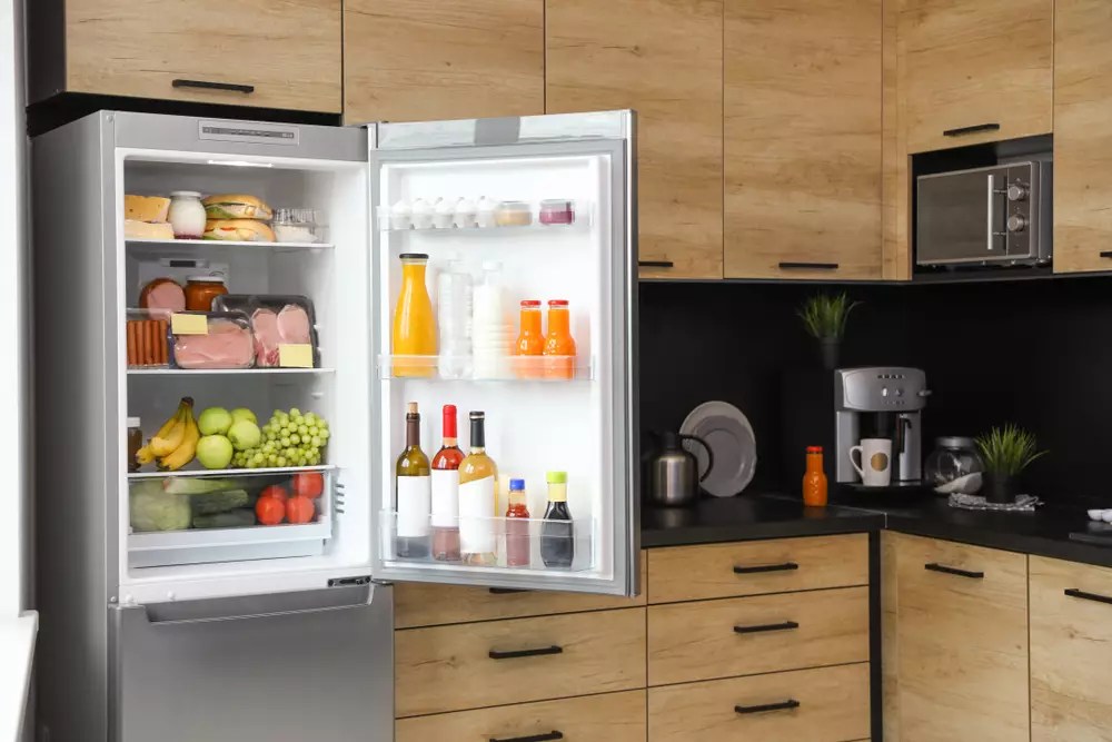 Freezer vs. Refrigerator Which One Should You Choose for Your Home?