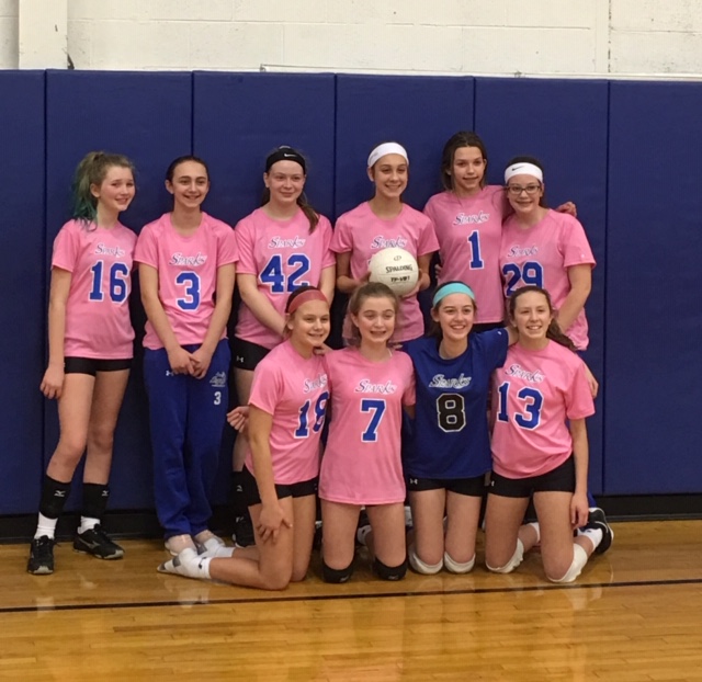 Teams Sparks Volleyball