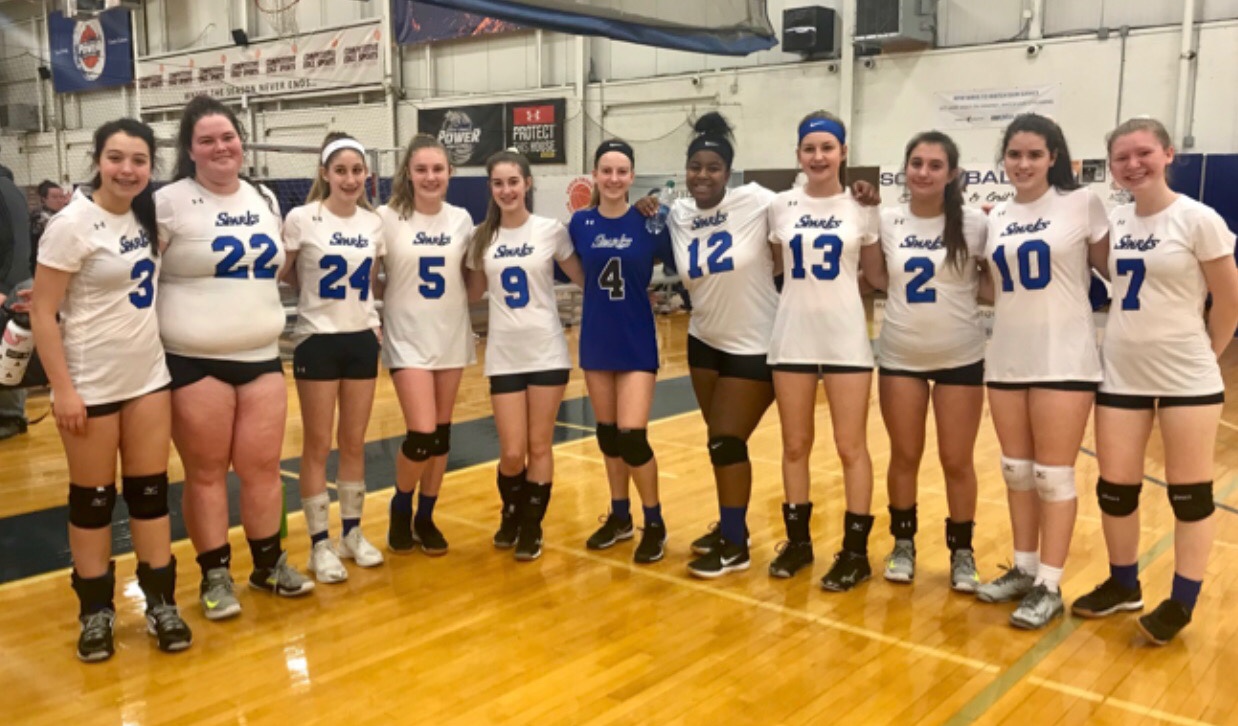 Teams Sparks Volleyball