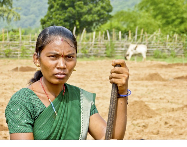 Beyond the Ordinary Spark