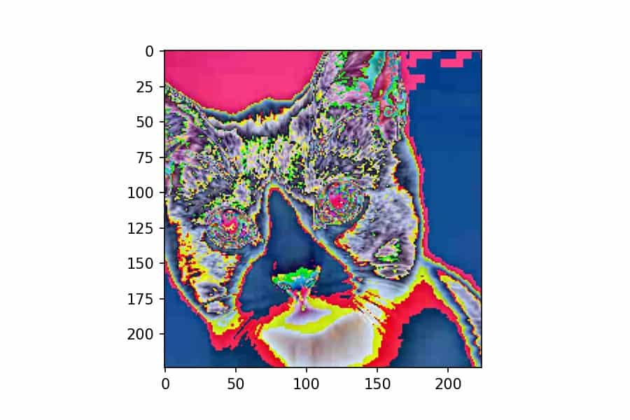 TorchVision Transforms Picture Preprocessing in PyTorch The Dev News