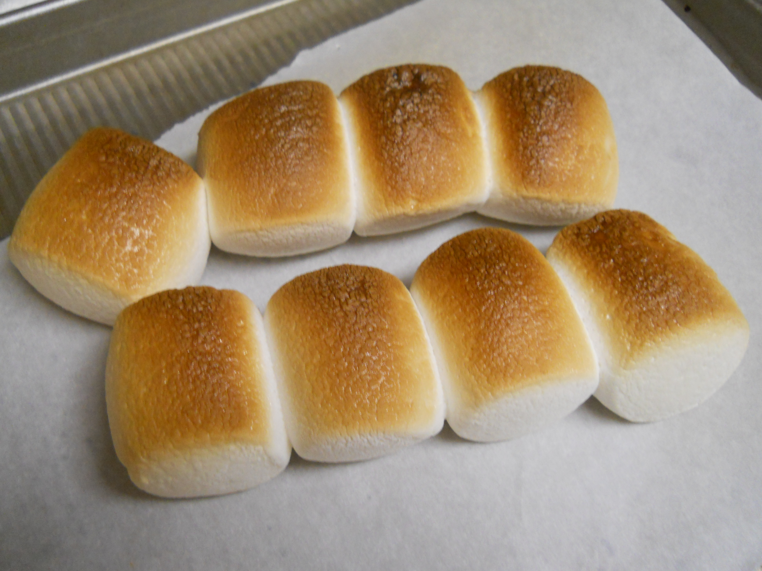 Chocolate Malted & Roasted Marshmallow Cupcakes spatialdrift