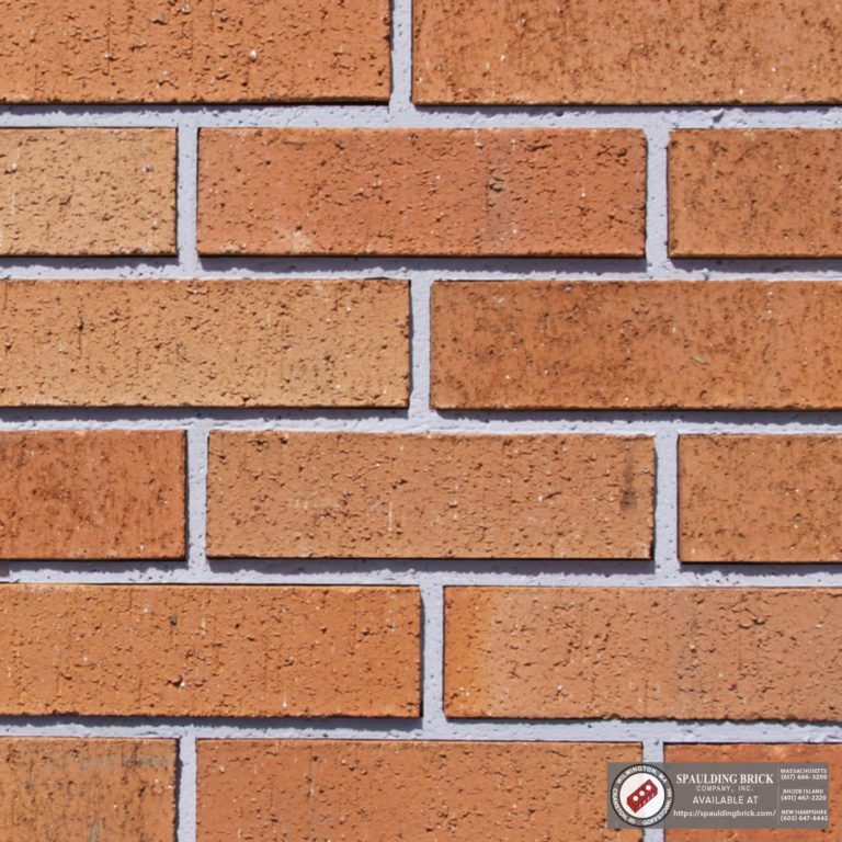 Pacific Clay Saltillo Spaulding Brick