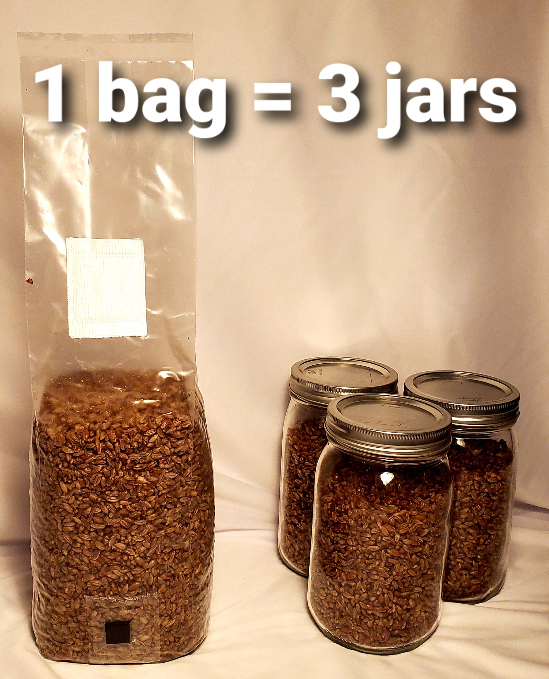 Sterilized Grain Spawn (3 lbs bags) Milo Grain