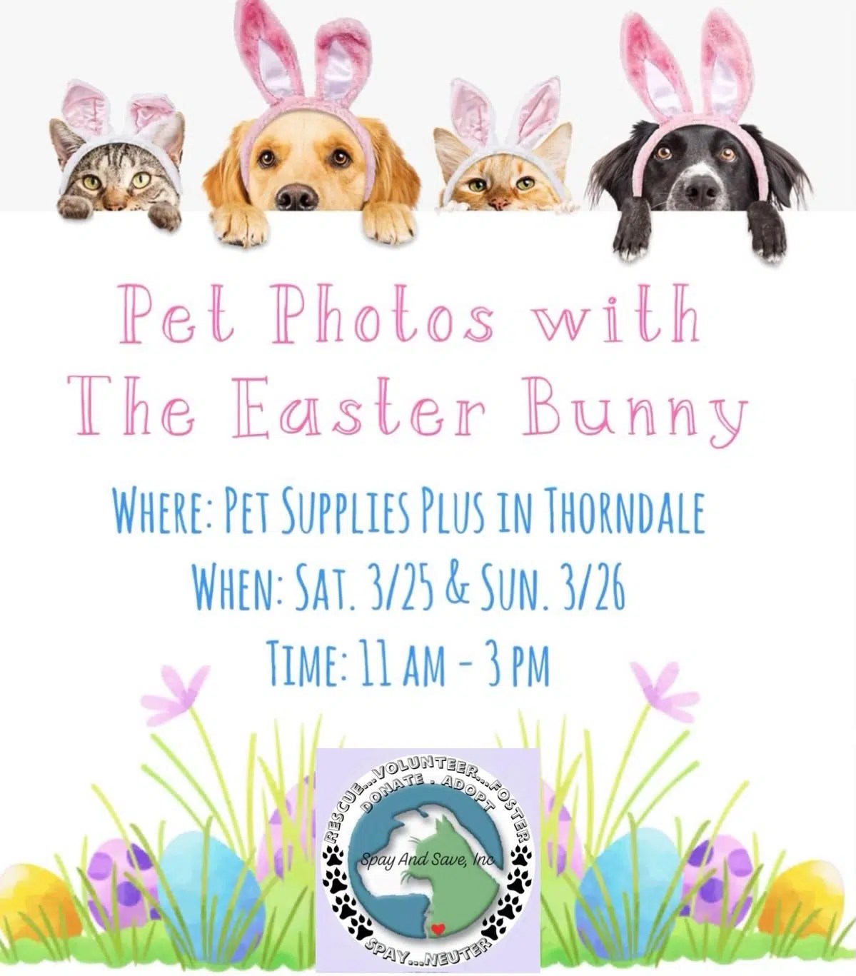 Pet Photos with the Easter Bunny Spay and Save, Inc.