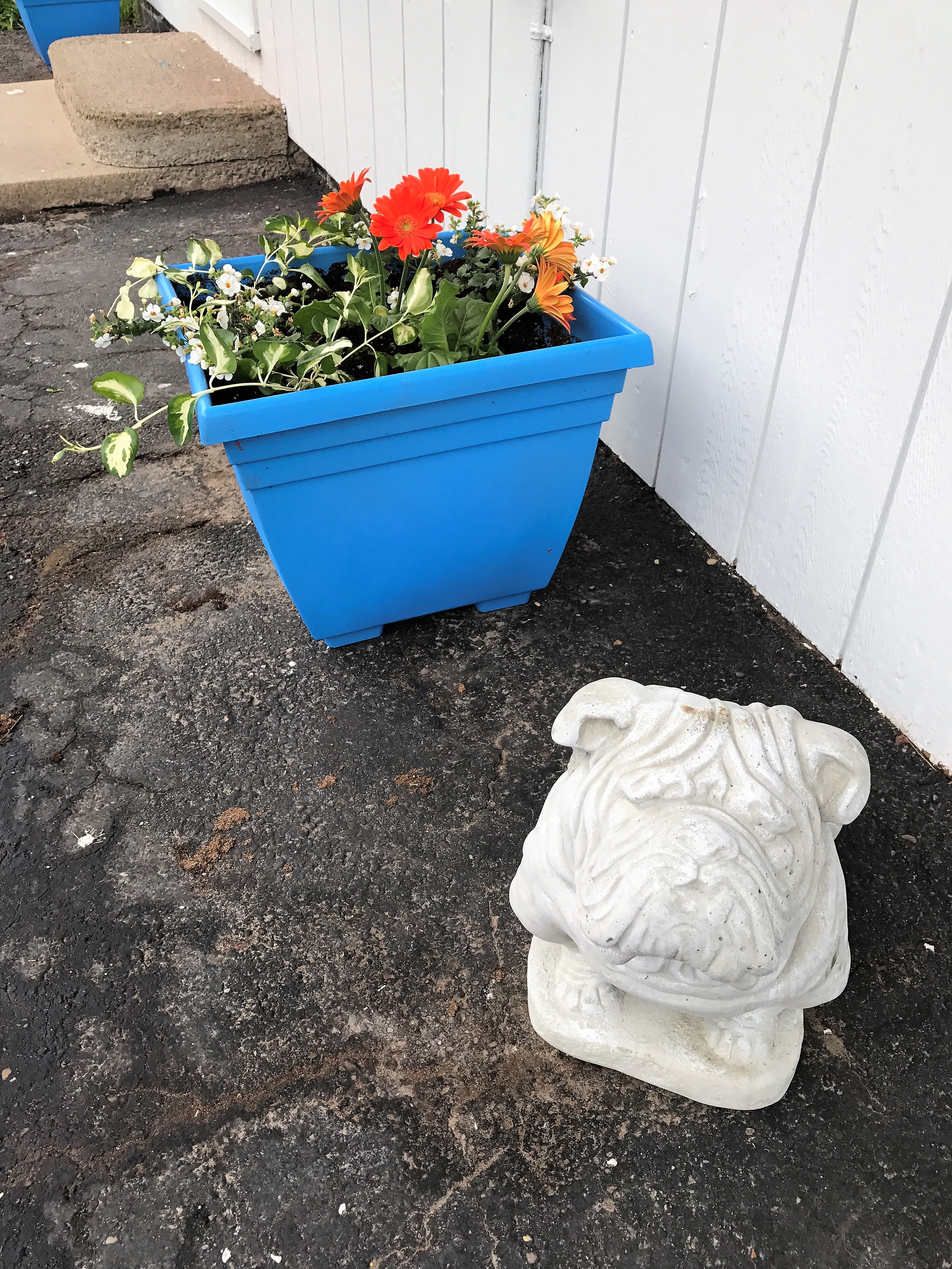 Planter Spay Neuter Clinic