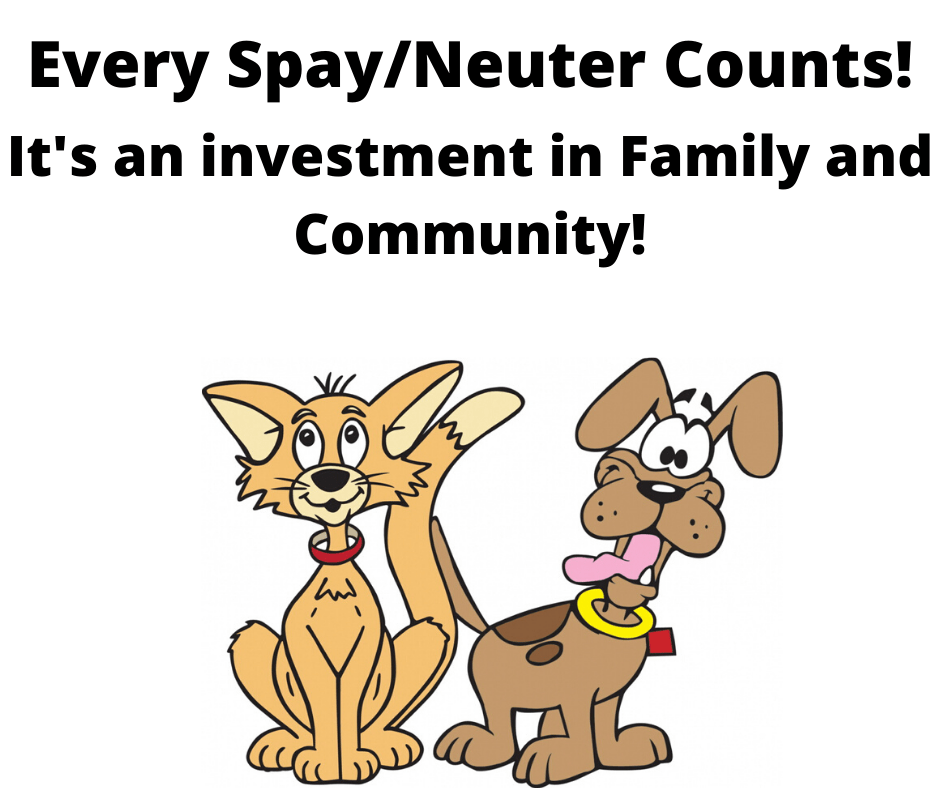 How You Can Help! Spay Campbell County Tennessee Pets (SpayCC)
