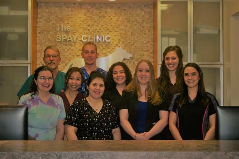 About Us Edmonton Veterinarian The Spay Clinic