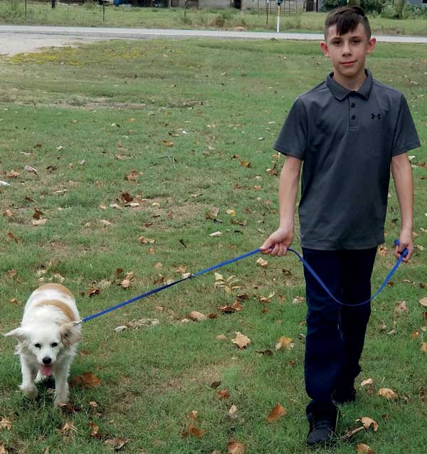 What Should You Do The First Time You Meet A Dog