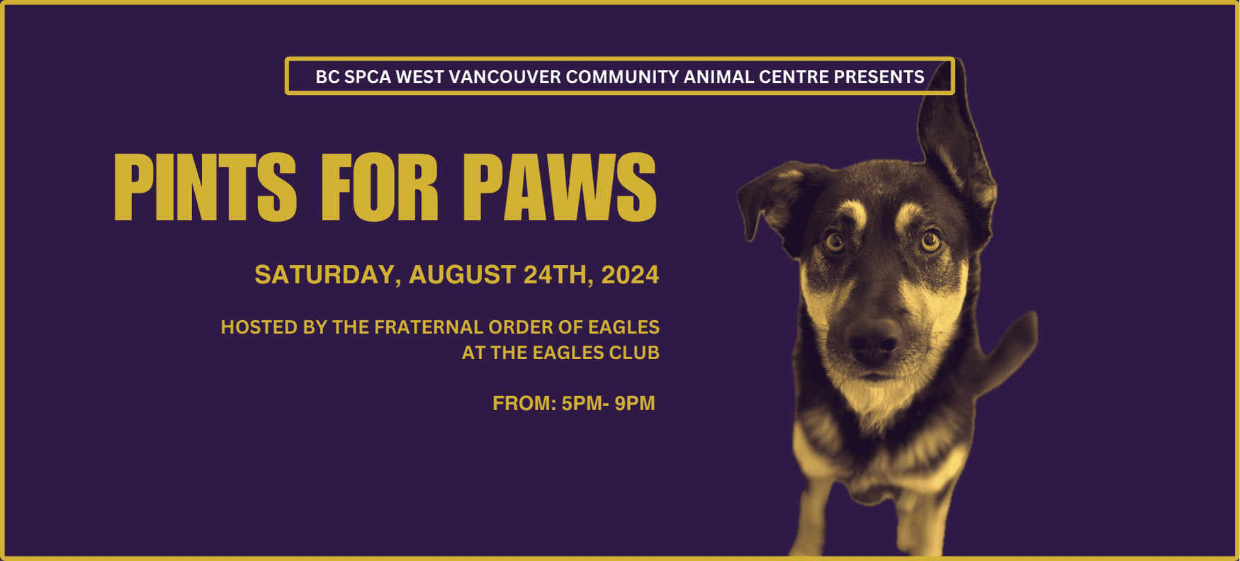 Pints for Paws BC SPCA