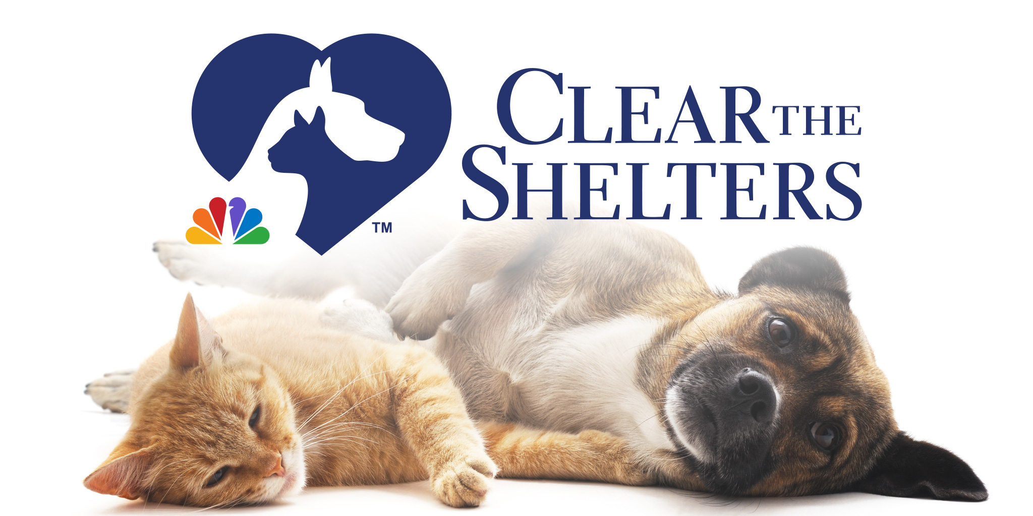 SPCA of Texas Clear the Shelters SPCA of Texas