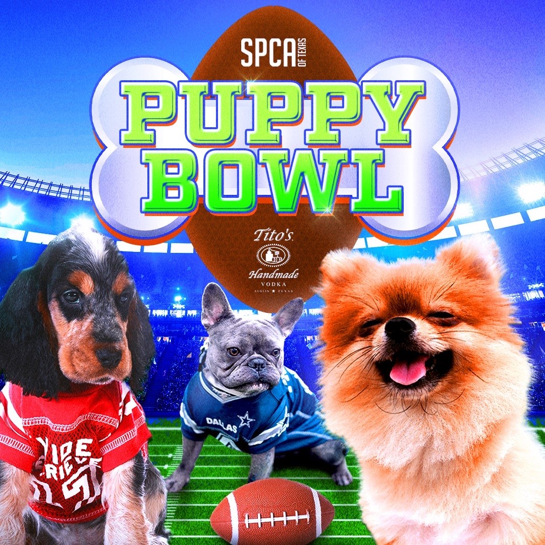 SPCA of Texas Puppy Bowl at Backyard Dallas SPCA of Texas