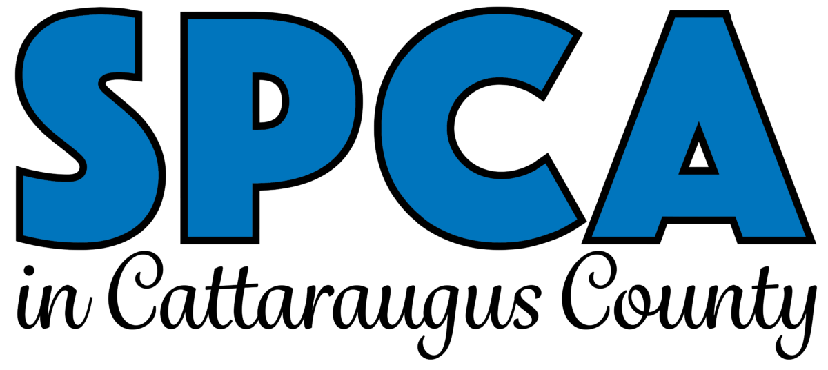SPCA in Cattaraugus County Animal Shelter Olean, NY
