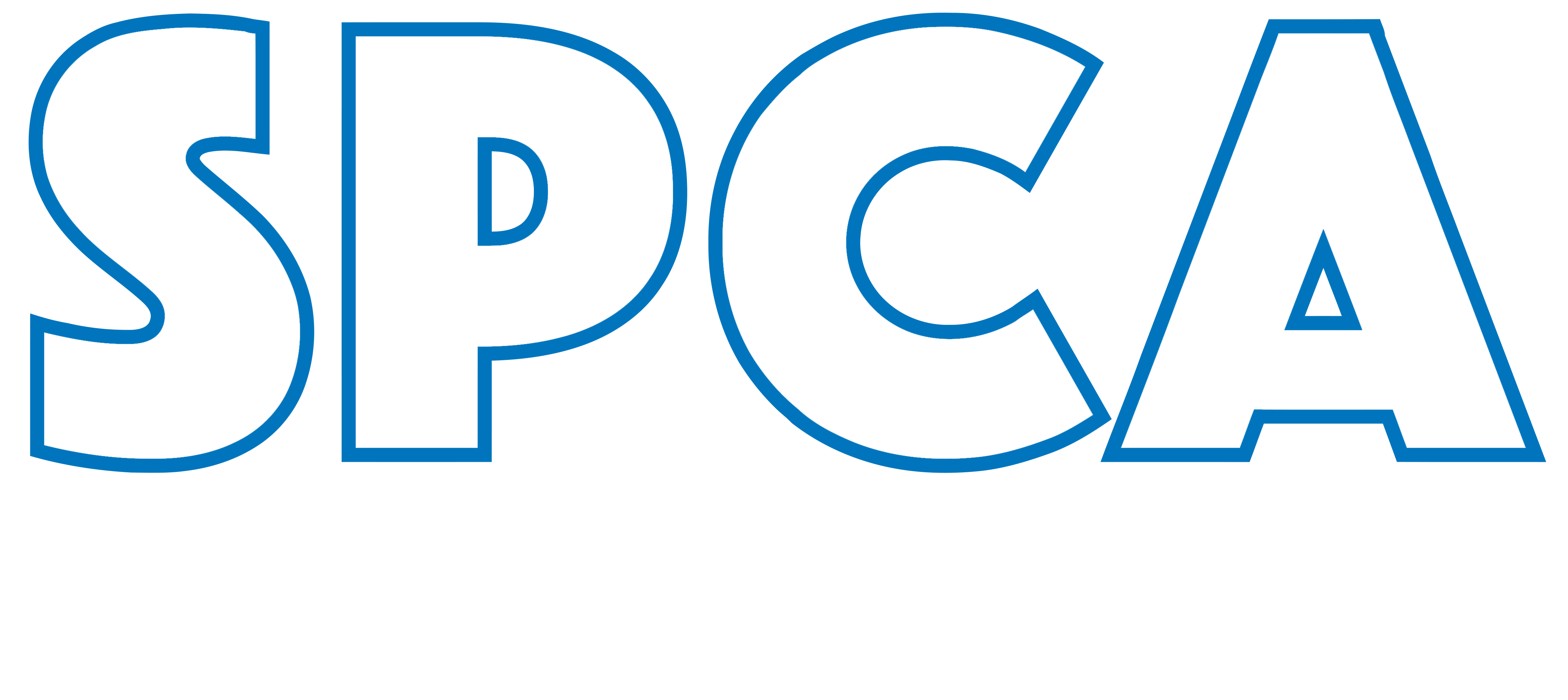 SPCA in Cattaraugus County Animal Shelter Olean, NY