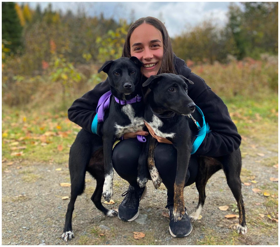 SPCA LaurentidesLabelle Notre équipe