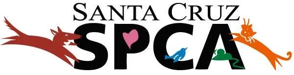 Santa Cruz Spca: Changing Lives One Paw At A Time