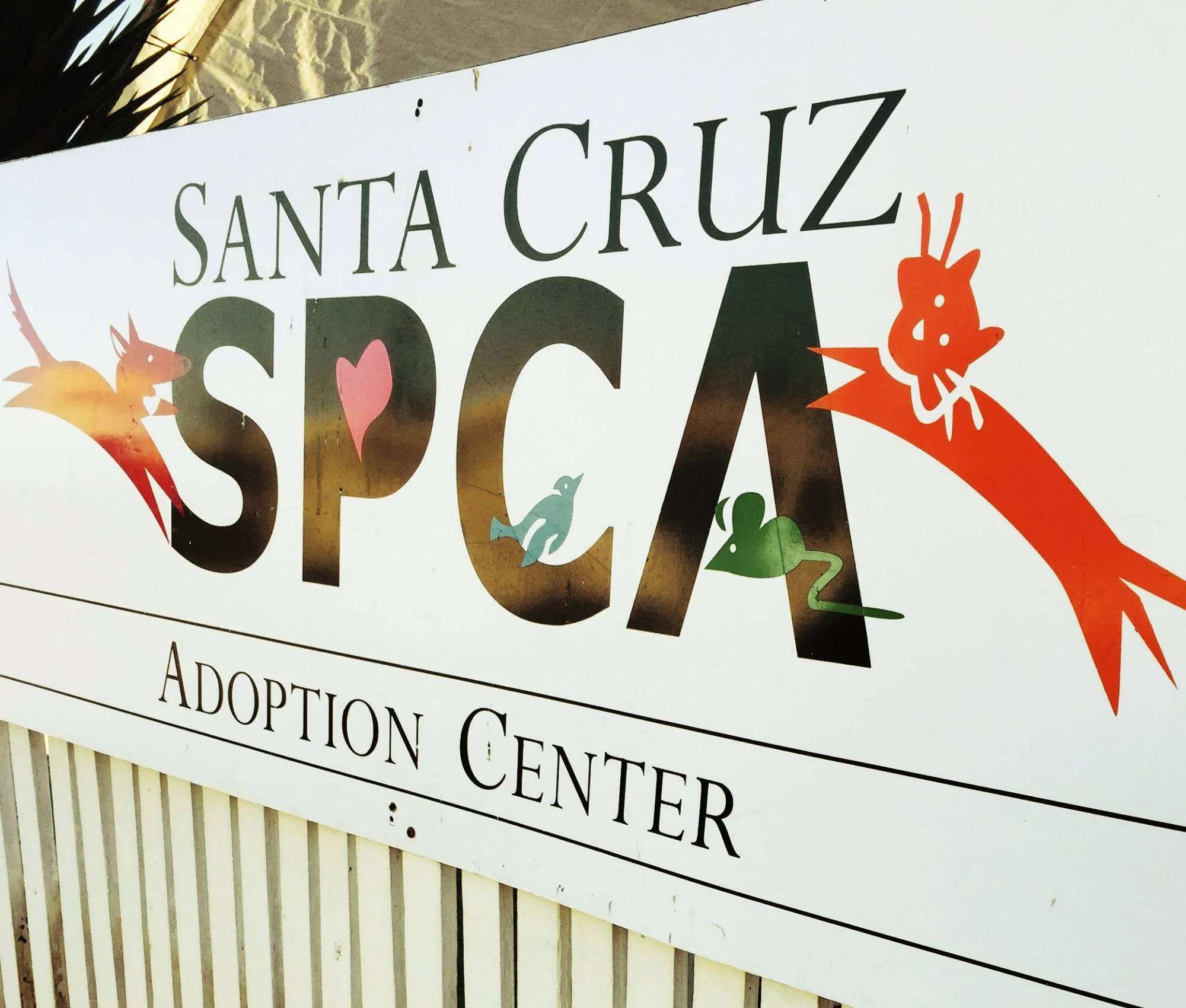 Who We Are Santa Cruz SPCA Changing Lives, One Paw at a Time