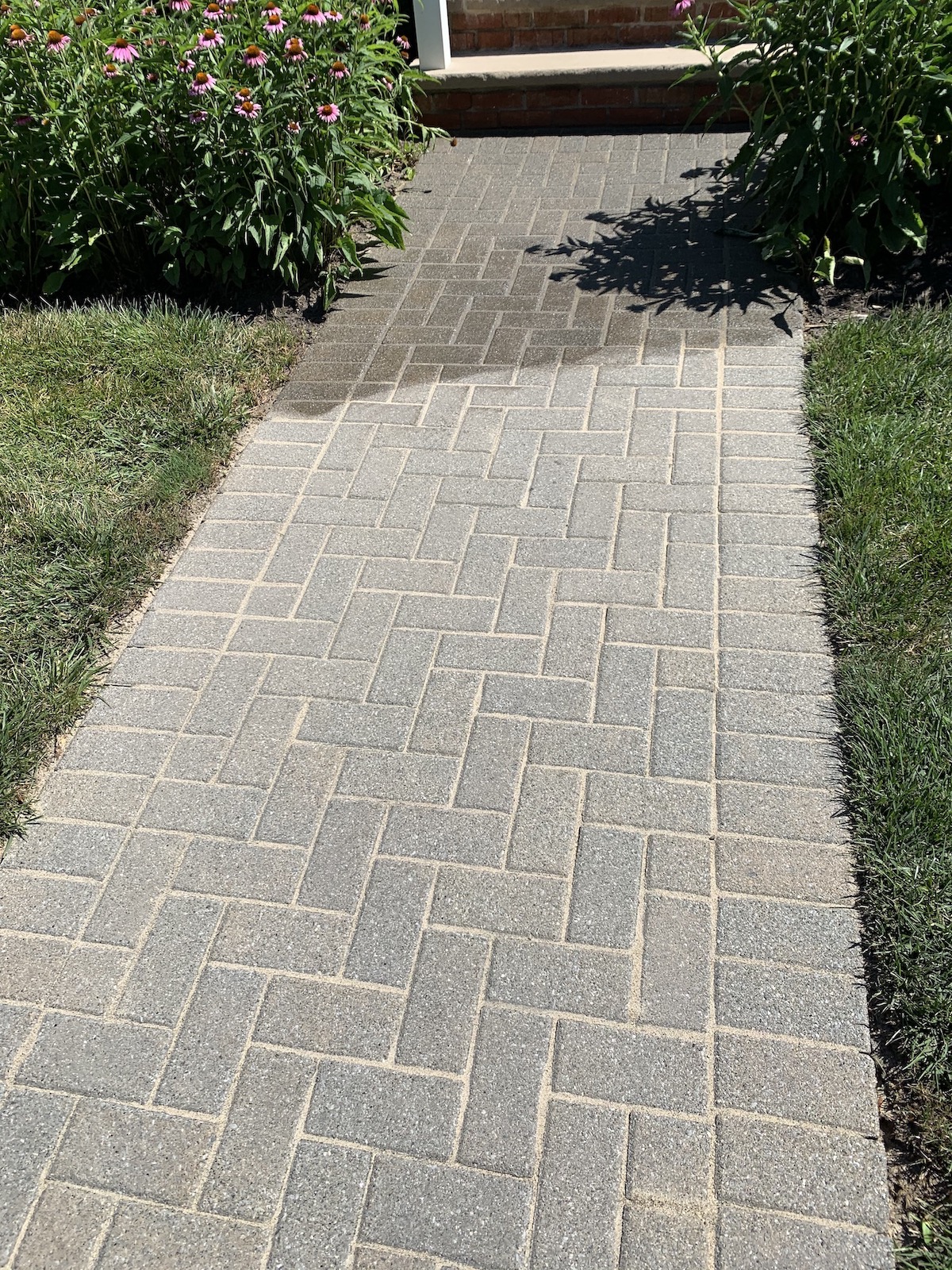 TopRated Paver Cleaning SPC Cleaning